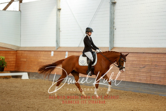 _62_7821 | Turniersportfotografie; Pferdefotografie; Dressurfotografie