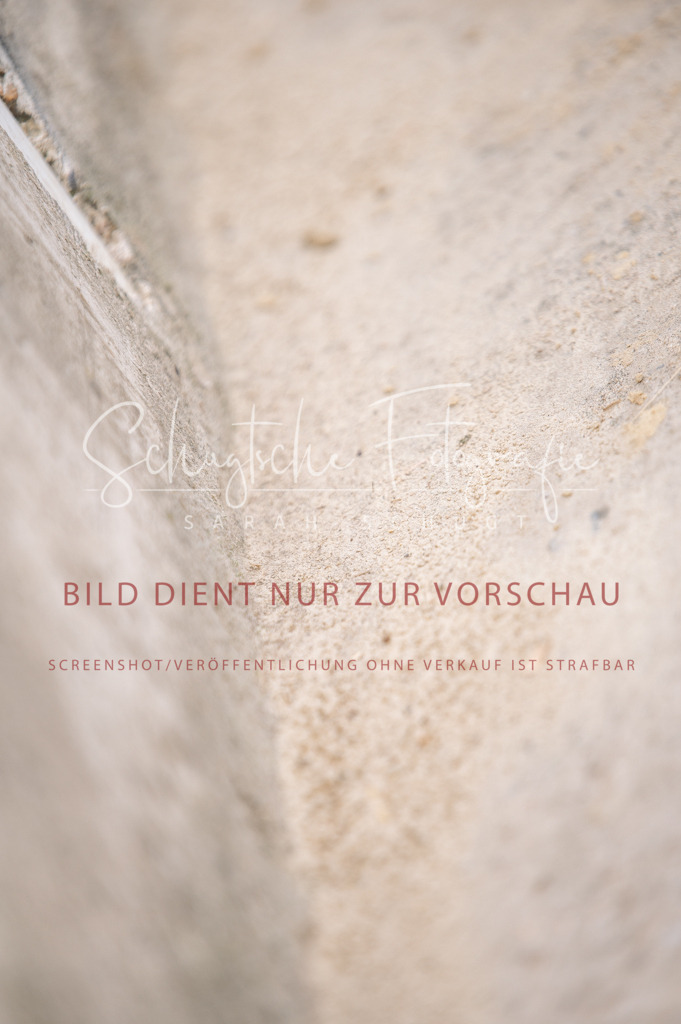 Schugtsche-Aluta25-41.Amat-Dressurprf.A_-325 | Schugtsche Fotografie - Realisiert mit Pictrs.com