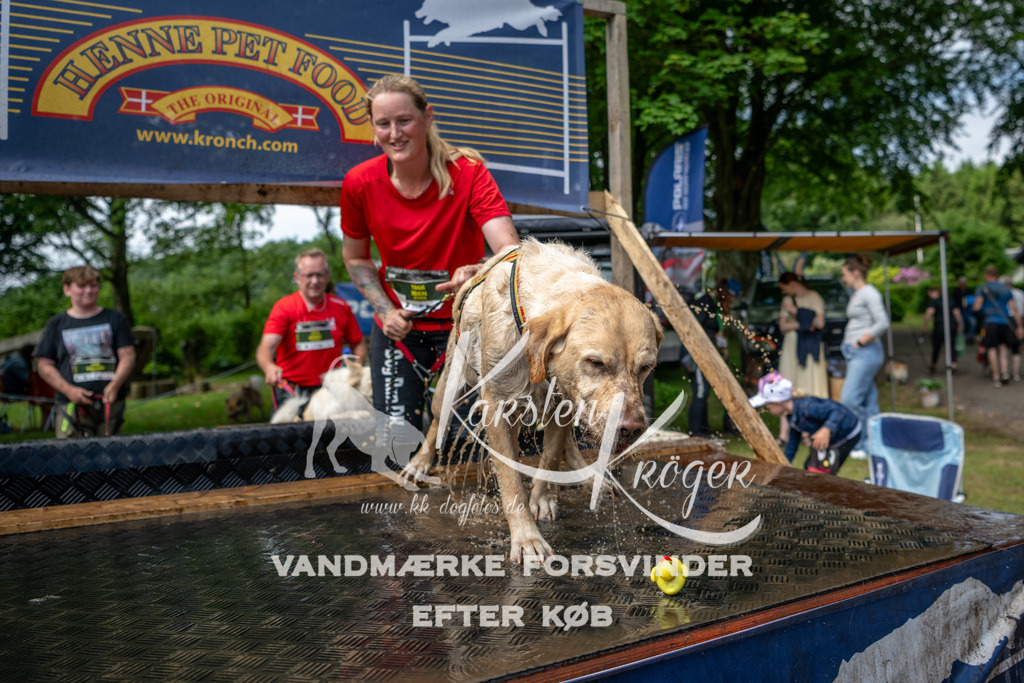 1113_ZZ93118 | kk-dogfotos