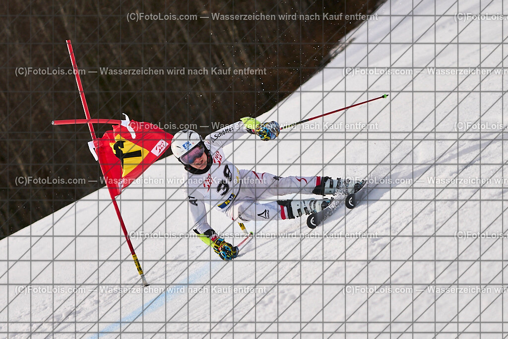 ALP8402_Herrn-FIS-GS-II_Lackenhof-WY_FERNSEBNER Simon | Internationaler FIS GiantSlalom der Herrn auf der Distelpiste in Lackenhof am Di 11. März 2025.  Österreich, LSV-NÖ, Sportunion Waidhofen/Ybbs (2035).