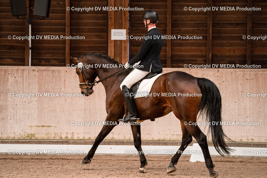 Dressur Tag 2-231 | dv-media-shop - Realisiert mit Pictrs.com