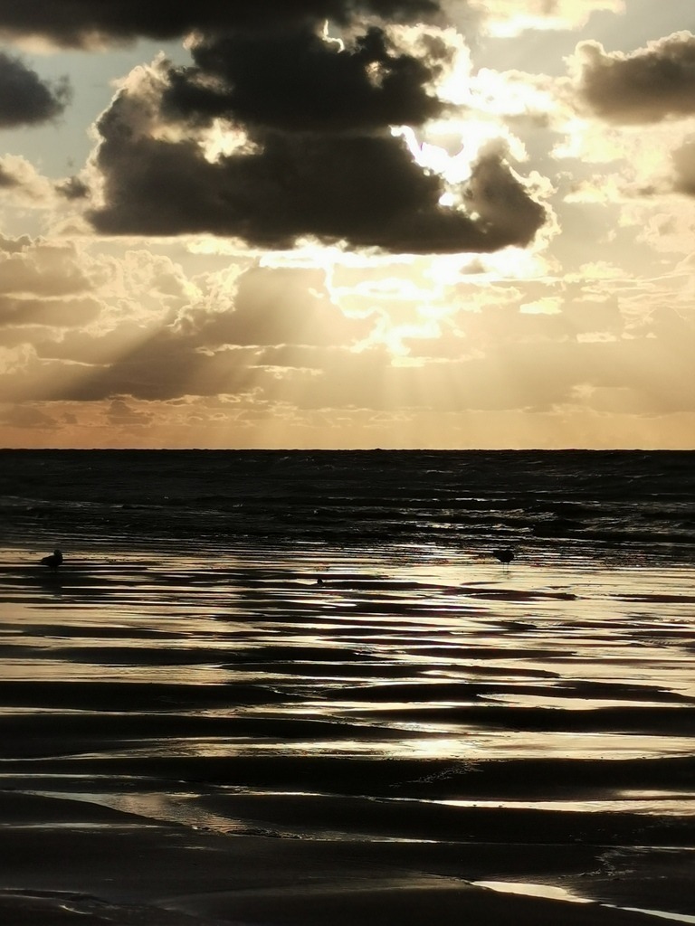 IMG_20231014_182441 | Pandiboo - Realisiert mit Pictrs.com