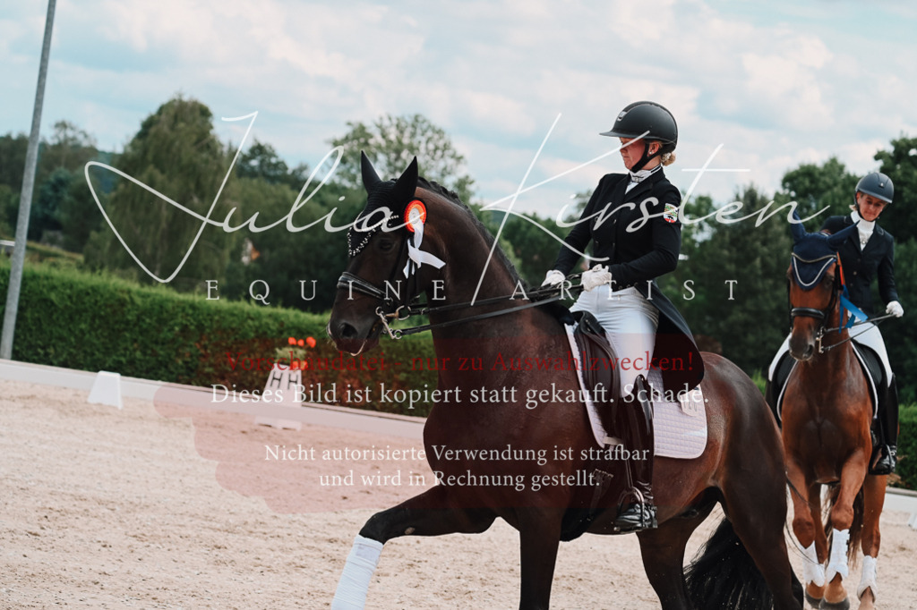 DSC_4431 | Pferde- und Turnierfotografie in Westsachsen. Pferdeportraits, Auftragszeichnungen und intuitive Kunst.