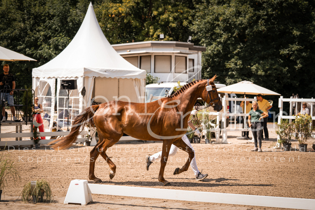 1.Fr00042 | Leoni Ertmer Photography - Realisiert mit Pictrs.com