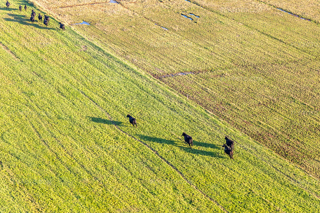 Aerial view: Wadden Sea National Park in Fanø in the state South Denmark, Denmark.Photo: IMG_118865.jpg taken on 09/21/2019 by Werner Riehm/FLY-FOTO.comResolution of the original: 5472 x 3648 px