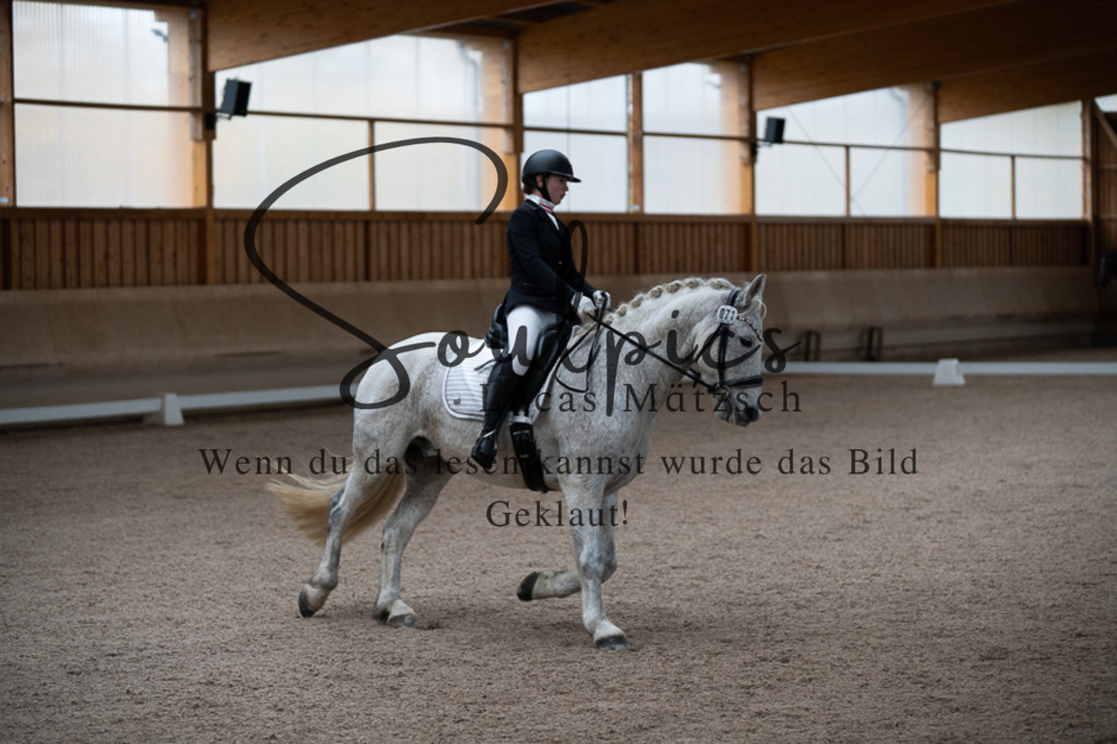 A7V02262 | Pferdefotograf