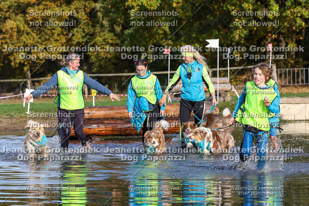 Dog Paparazzi - Strongdog 10-25-8479 | Dog Paparazzi Jeanette Grottendiek Fotografie & Videografie - Realisiert mit Pictrs.com