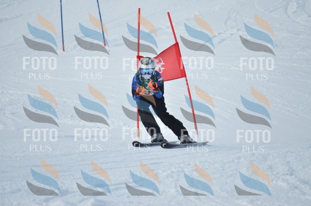 D8789 | holidayphoto