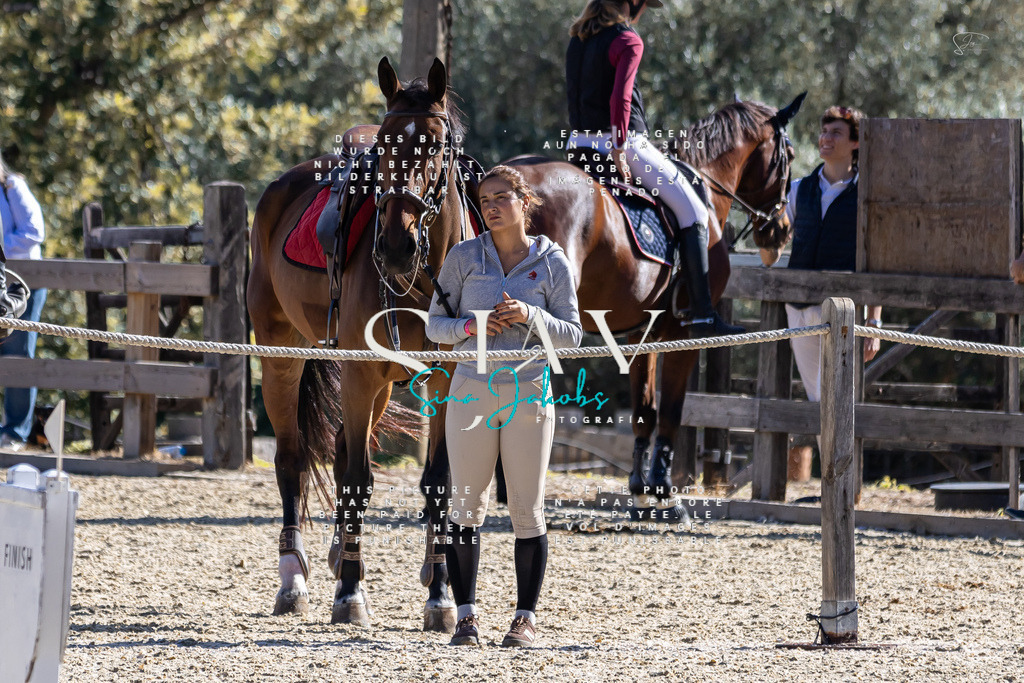 IMG_0731 | s-jay-photography - Realisiert mit Pictrs.com