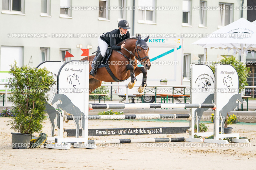 DSC07982 | Pferdegrafie