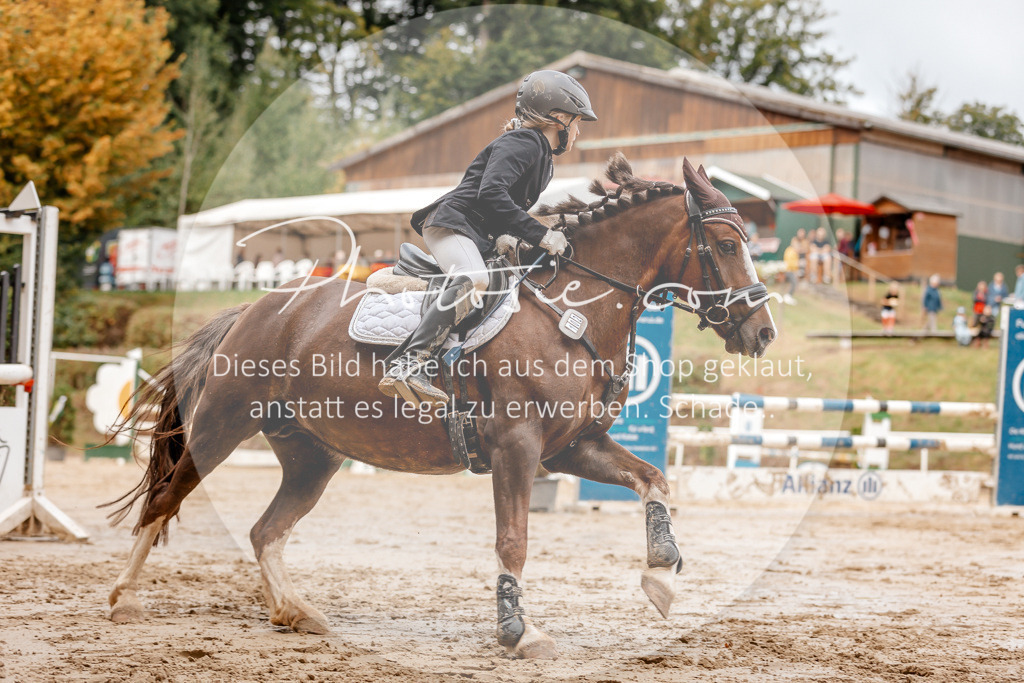 3I6A6822 | Stimmungsvolle Portraits und Reitsportfotografie im Ruhrgebiet und im Münsterland.

Pferdefotografie, Hundefotografie, Tierfotografie, Reportagen, Portraits von Tier und Mensch, Turnierfotografie in Bochum, Recklinghausen, Marl, Haltern am See, Dülmen.. - Realisiert mit Pictrs.com