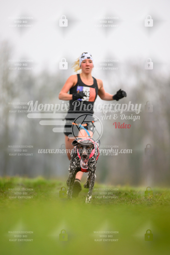 MompixPhotography_CDF2023_FFST_Di_Canicross-8 | PayLife