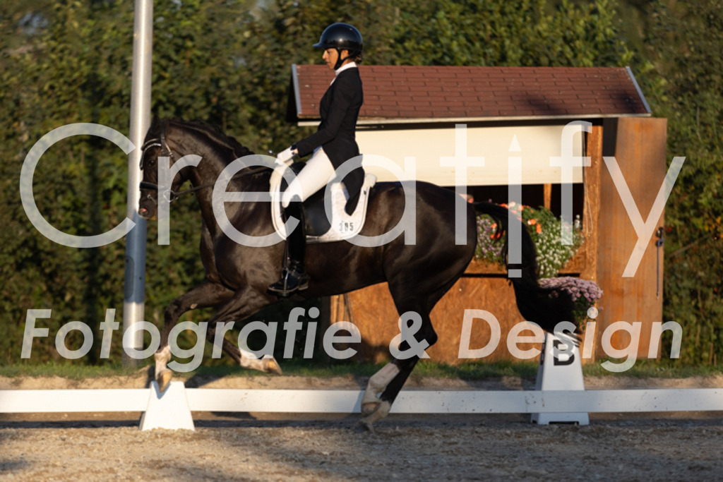 IMG_1643 | Creatify Fotografie