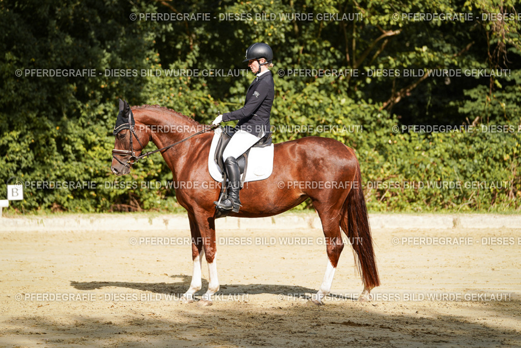 DSC08834 | Pferdegrafie