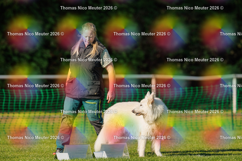 Thomas_Nico_Meuter(C)_04. Oktober 2026_223A4157 | Bild von Thomas Nico Meuter - Realisiert mit Pictrs.com
