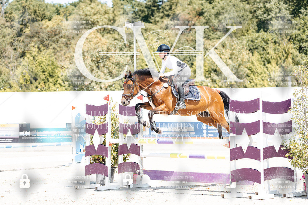 CK900256 | Turnierfotografie Pferdefotografie Trier Rheinland-Pfalz Pferdesport Reitsport Tierfotografie Sportfotografie Pferdevideo Pferdevideografie Equestrianvideography equestrianphotography  - Realisiert mit Pictrs.com