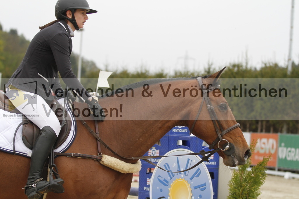 _MG_1304 | equestrian-live-com