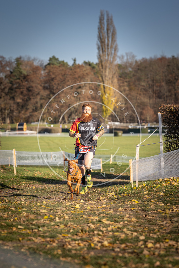 CaniXpix_DV3A0627 | Hundefotografie, Tierfotograf, Pfotenfotografie, Fotoshooting Hund, Hunde Portrait, Hundesport, Hundeportraits, Heideshooting, Hunde, Sportfotograf, Hundefotograf, Turnierhundsport, THS,  - Realisiert mit Pictrs.com