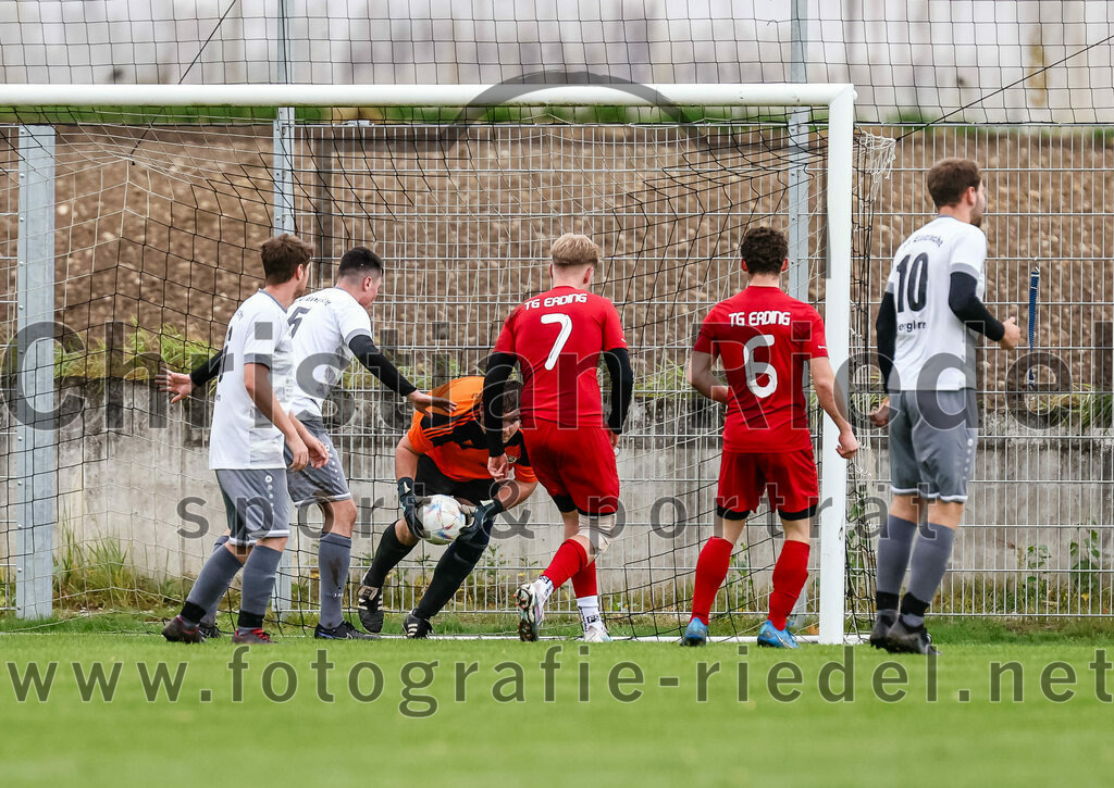 2023-10-15_022_SV_Eintracht_Berglern_gegen_FC_Tuerkguecue_Erding | Berglern, Deutschland, 15.10.2023:
Fußball, Kreisklasse 2023 / 2024, 10. Spieltag, SV Eintracht Berglern gegen FC Türkgücü Erding, Endergebnis: 1:0

Sebastian Herrmann (SV Eintracht Berglern, #6), Torwart Lukas Kohlschutter (SV Eintracht Berglern, #1), Ajdin Nienhaus (FC Türk Gücü Erding, #7), Gjergj Preniqi (FC Türk Gücü Erding, #6), Michael Faltermeier (SV Eintracht Berglern, #10)

Foto: Christian Riedel / fotografie-riedel.net