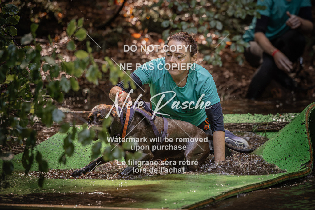 nelerasche_Wingst_Sa1330-1400_240 | nelerasche