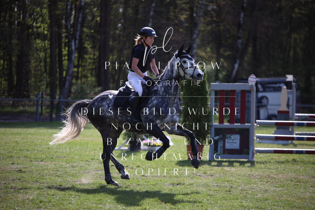 IMGT9139 | pl-fotografie