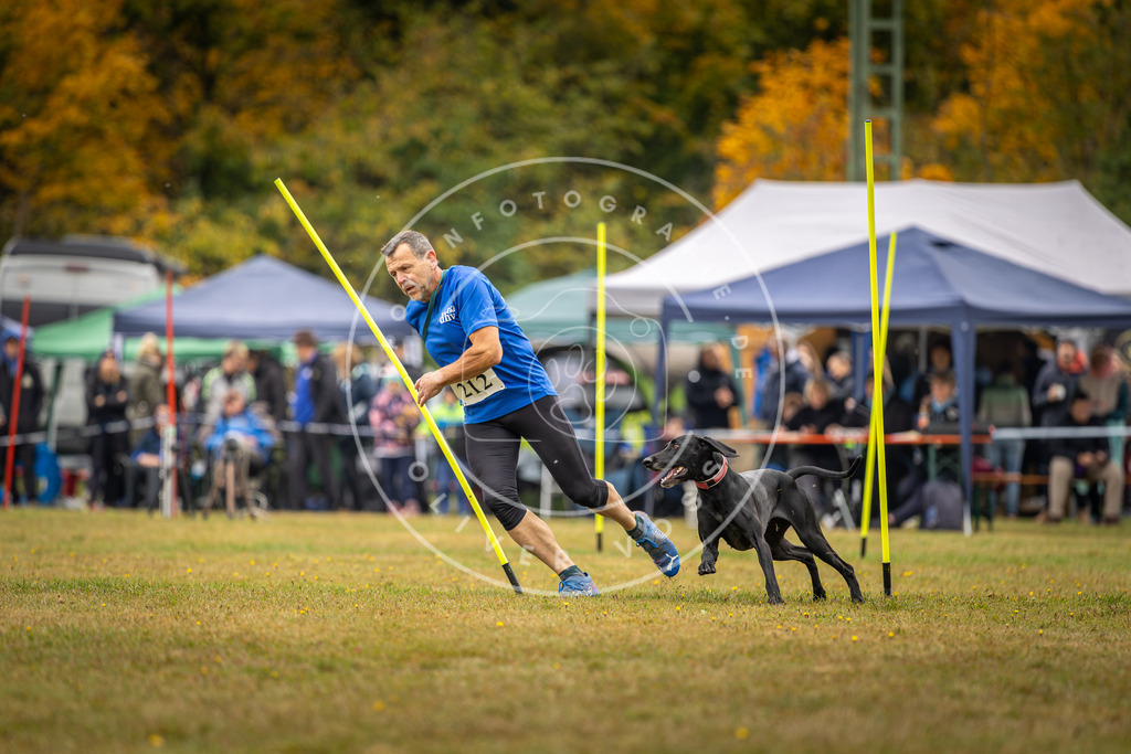 Pfotenfotografie_DV3A2412 | Hundefotografie, Tierfotograf, Pfotenfotografie, Fotoshooting Hund, Hunde Portrait, Hundesport, Hundeportraits, Heideshooting, Hunde, Sportfotograf, Hundefotograf, Turnierhundsport, THS,  - Realisiert mit Pictrs.com