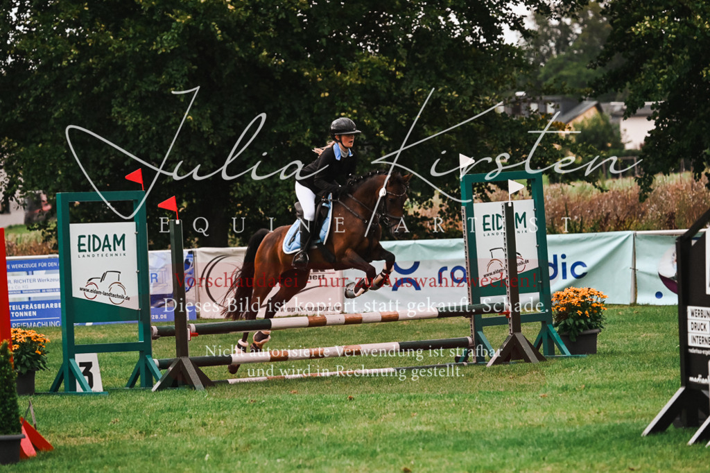 DSC_6164 | Pferde- und Turnierfotografie in Westsachsen. Pferdeportraits, Auftragszeichnungen und intuitive Kunst.