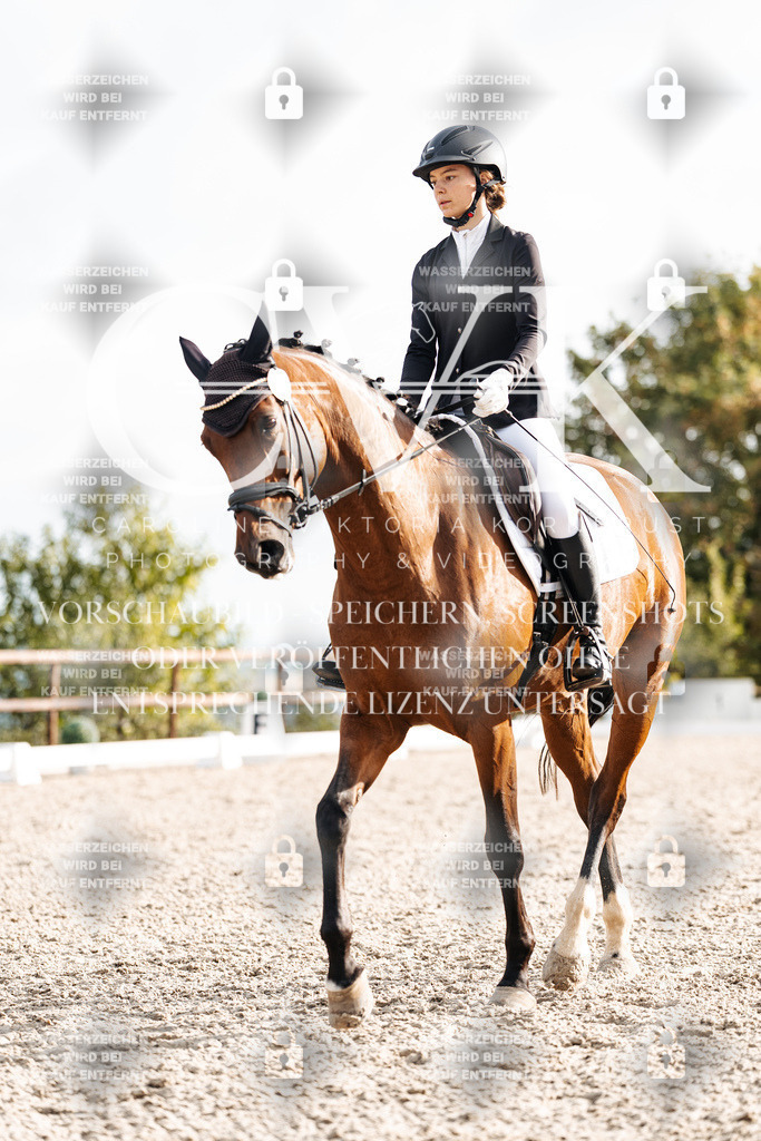 CK900910 | Turnierfotografie Pferdefotografie Trier Rheinland-Pfalz Pferdesport Reitsport Tierfotografie Sportfotografie Pferdevideo Pferdevideografie Equestrianvideography equestrianphotography  - Realisiert mit Pictrs.com