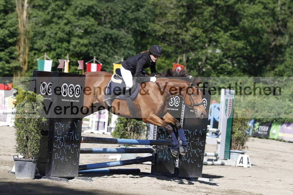 _MG_2379 | equestrian-live-com