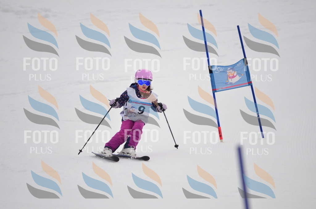 C0141 | holidayphoto