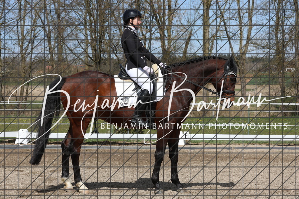 AZ2A3925 | Benjamin Bartmann Photomoments