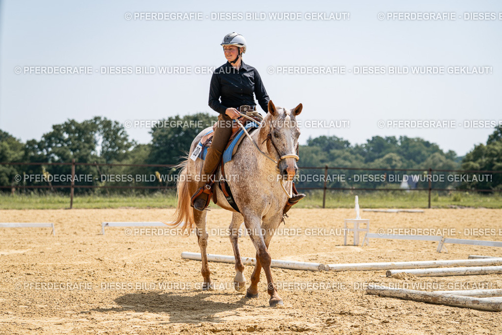 DSC00575 | Pferdegrafie