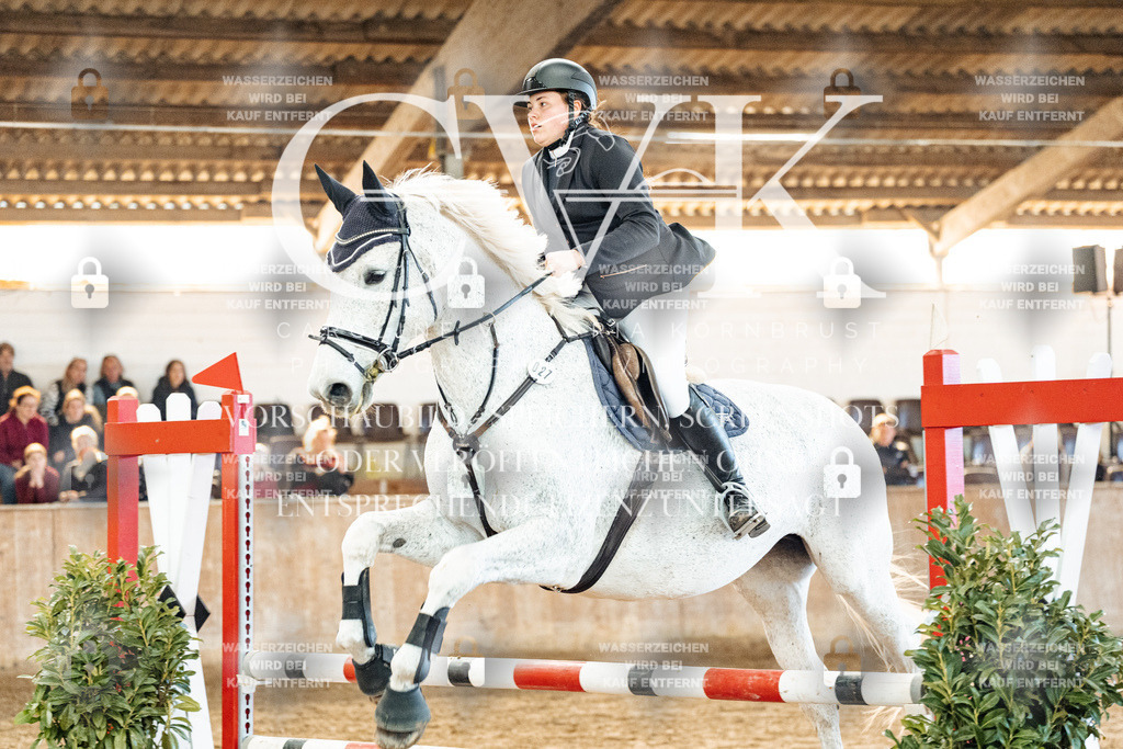 CK904482 | Turnierfotografie Pferdefotografie Trier Rheinland-Pfalz Pferdesport Reitsport Tierfotografie Sportfotografie Pferdevideo Pferdevideografie Equestrianvideography equestrianphotography  - Realized with Pictrs.com