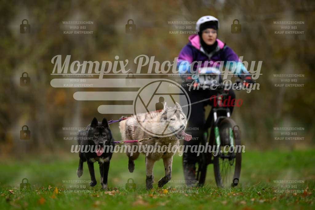 MompixPhotography_Bischwiller24_SA_VTT2-50 | PayLife