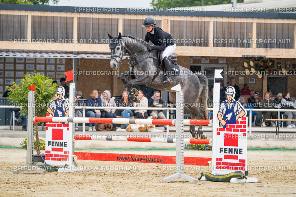 DSC01555 | Pferdegrafie