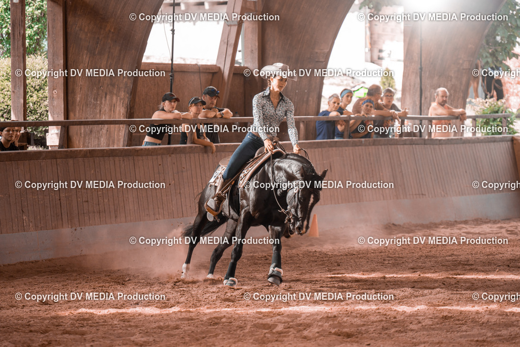 NE300738 | dv-media-shop - Realisiert mit Pictrs.com