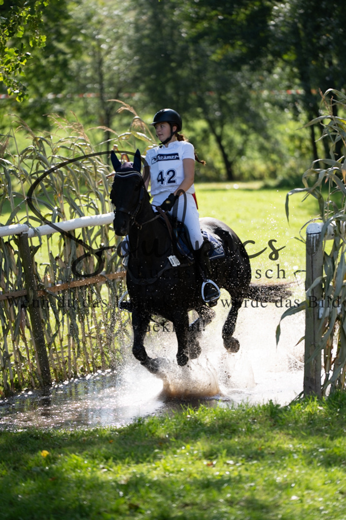 A7V03488 | Pferdefotograf