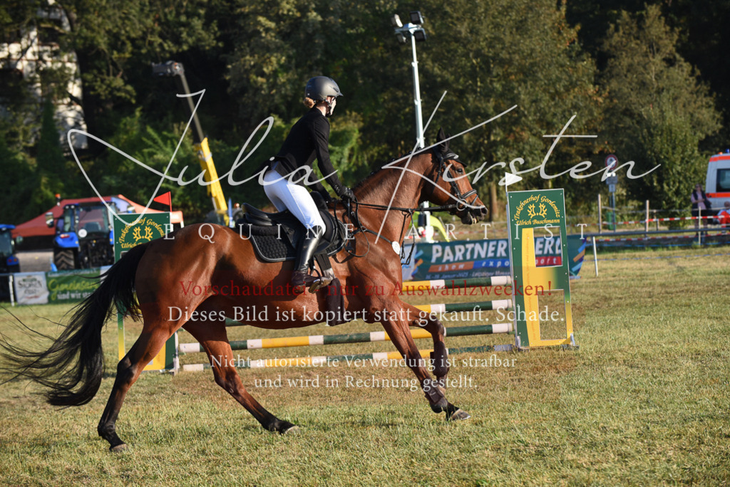 DSC_4819 | Pferde- und Turnierfotografie in Westsachsen. Pferdeportraits, Auftragszeichnungen und intuitive Kunst.