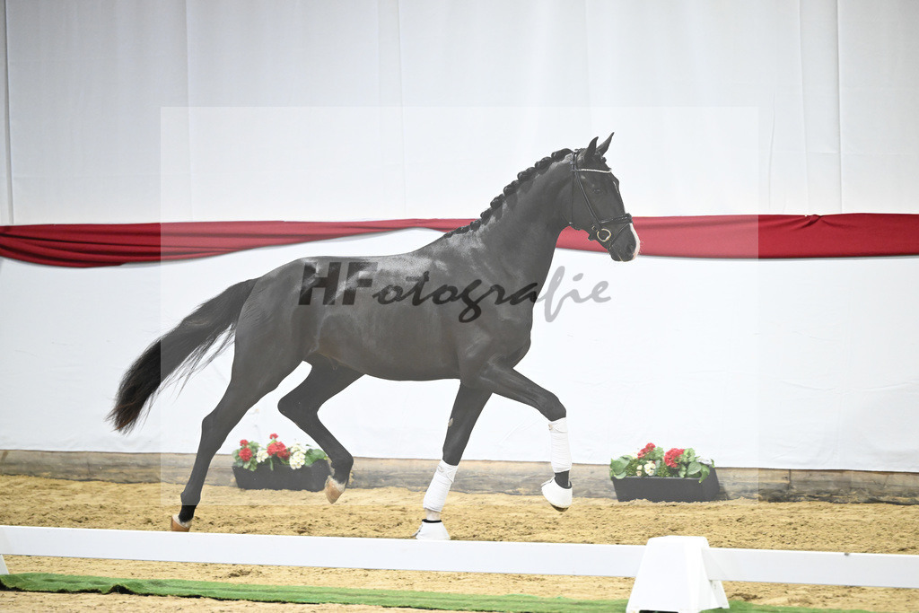 Kat-Nr. 19 v. Escamillo_Dalsem_63220378 | hf-fotografie - Realizzato con Pictrs.com