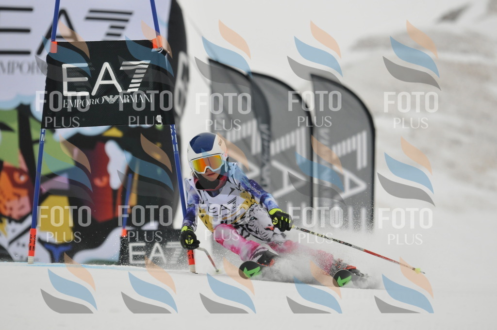 DSC_8328 | holidayphoto