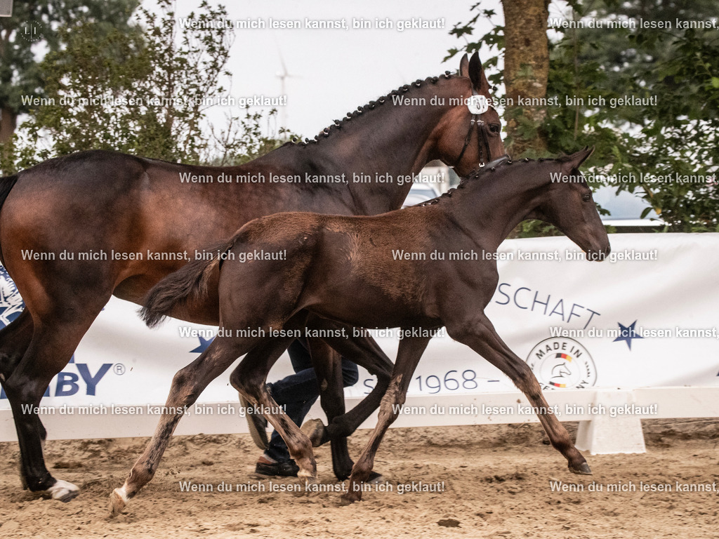 A10I7018 | photographylinaismer - Realisiert mit Pictrs.com