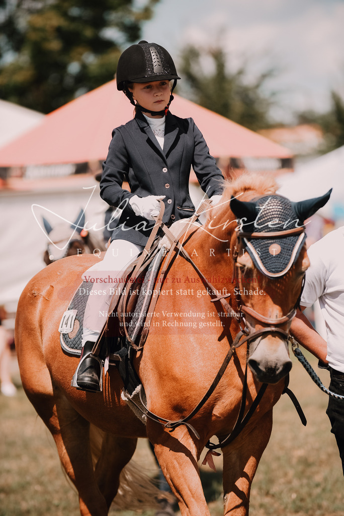 DSC_6166 | Pferde- und Turnierfotografie in Westsachsen. Pferdeportraits, Auftragszeichnungen und intuitive Kunst.