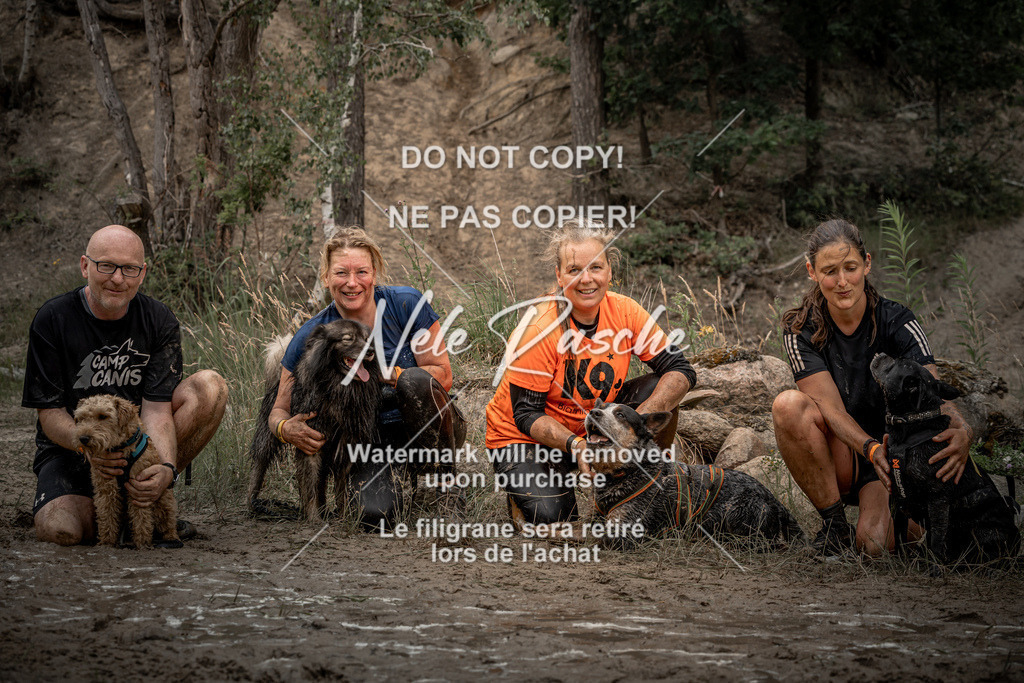 nelerasche_sa1345-1430_390 | nelerasche