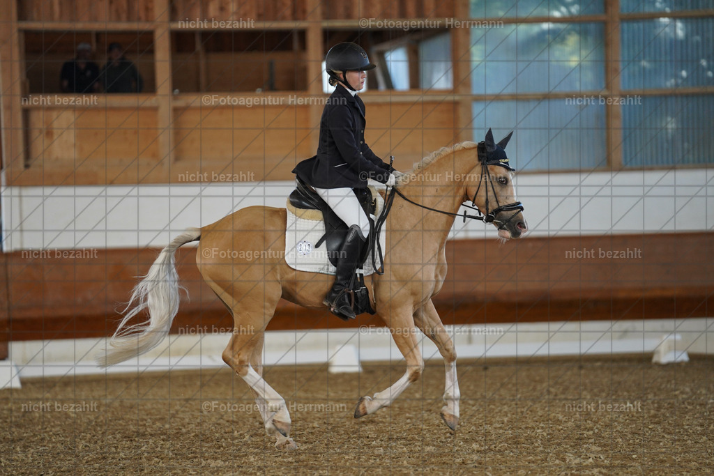20240824-FAH07084 | Thierhaupten 2024, Bayerisches Landesponyturnier, Turnierbilder, Ponybilder, Turnierfotografen Bayern, Fotoagentur Herrmann