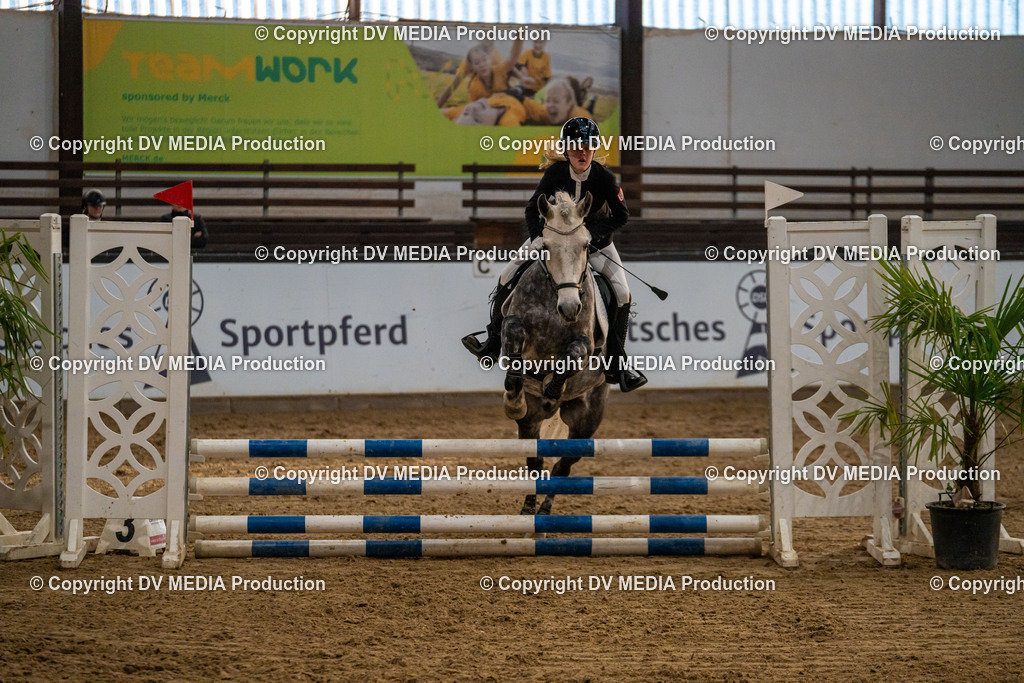 Kranichstein Tag 2-1032 | dv-media-shop - Realisiert mit Pictrs.com