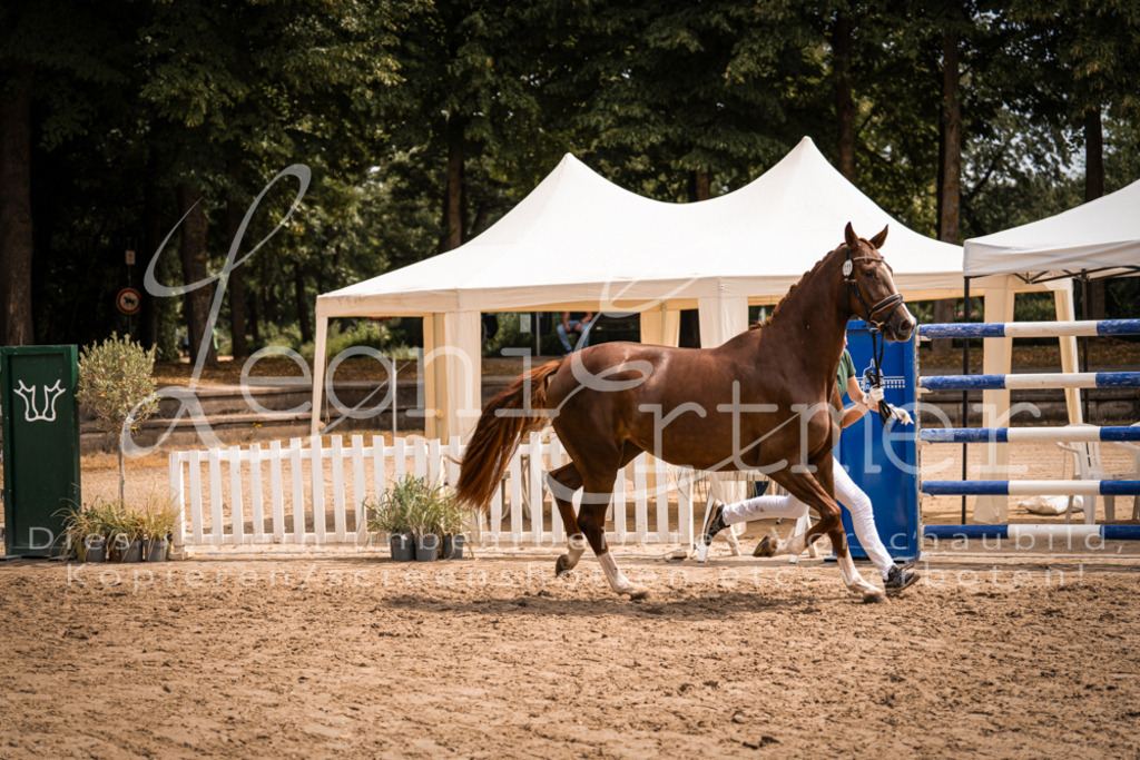 3.Fr00095 | Leoni Ertmer Photography - Realisiert mit Pictrs.com