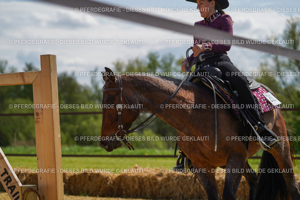 DSC04972 | Pferdegrafie