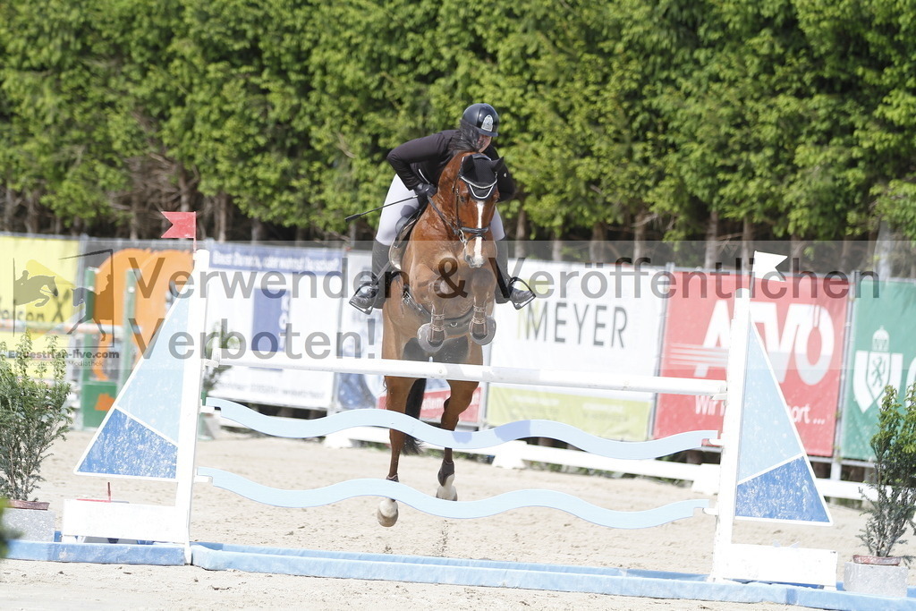 _MG_0246 | equestrian-live-com