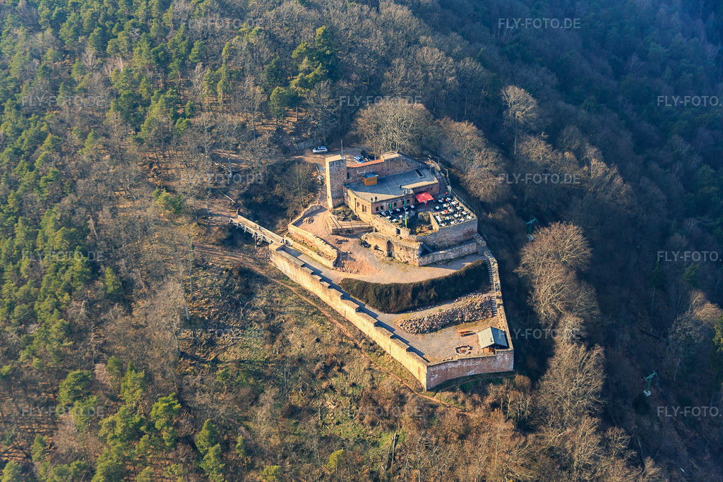 Luftbild: Burgruine Rietburg in Rhodt unter Rietburg im Bundesland Rheinland-Pfalz in Deutschland. Foto: IMG_086487.jpg vom 18.03.2016 durch Werner Riehm/FLY-FOTO.de