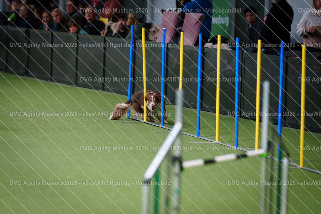 allesWIRTHgut_Tierfotografie-DVG_Agility_Masters_2026-09_52-7R502911 | Professionelle Tierfotografie in Mönchengladbach von Daniel Wirth (allesWIRTHgut). Liebevolle & natürliche Bilder von Hunden & Katzen für unvergessliche Erinnerungen.